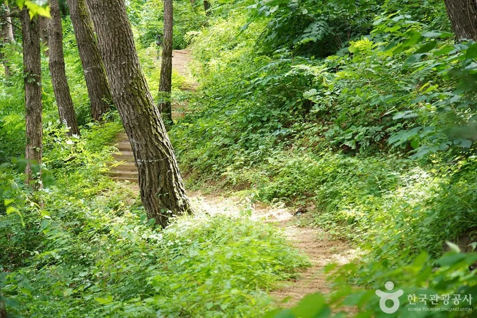 조양산 (14)