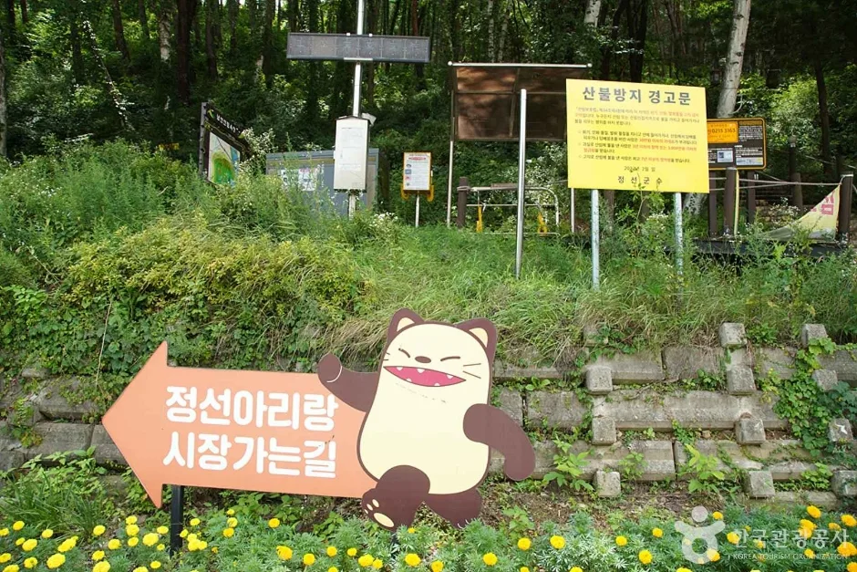 조양산 (19)