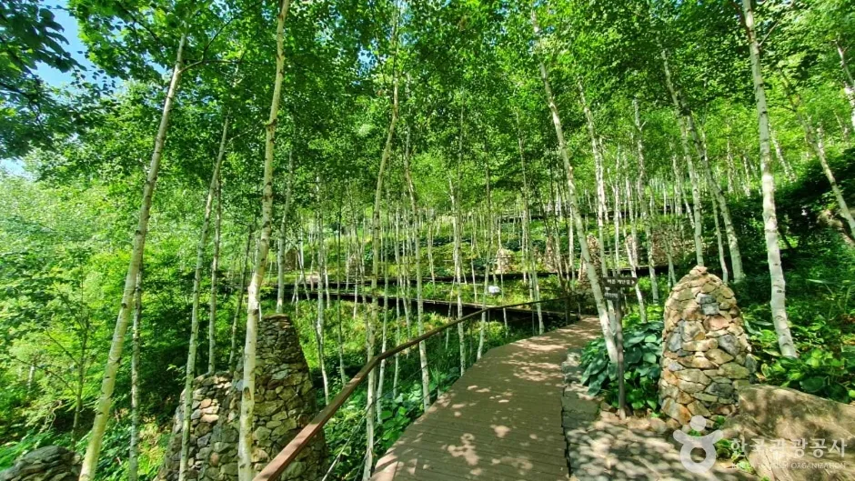 화담숲 (2)