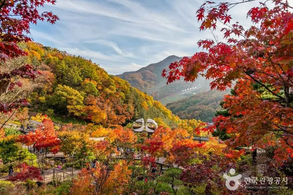 화담숲 (4)