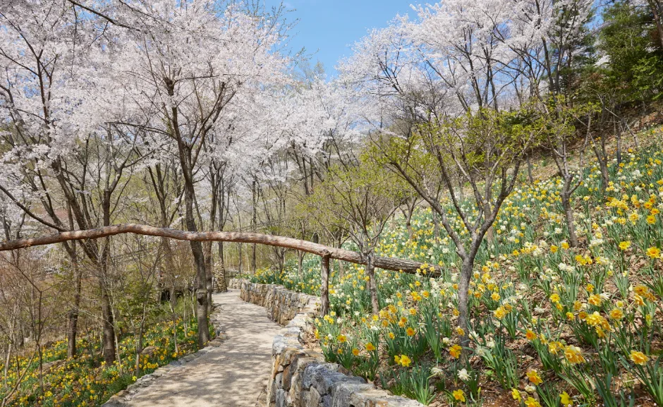화담숲 (9)