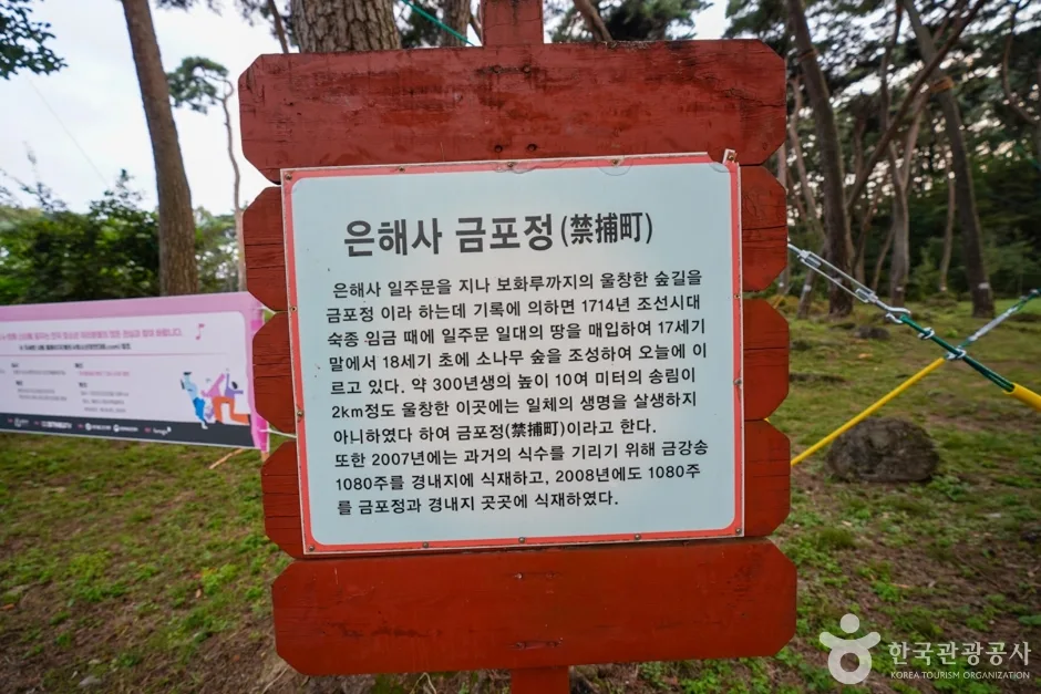 은해사 (10)