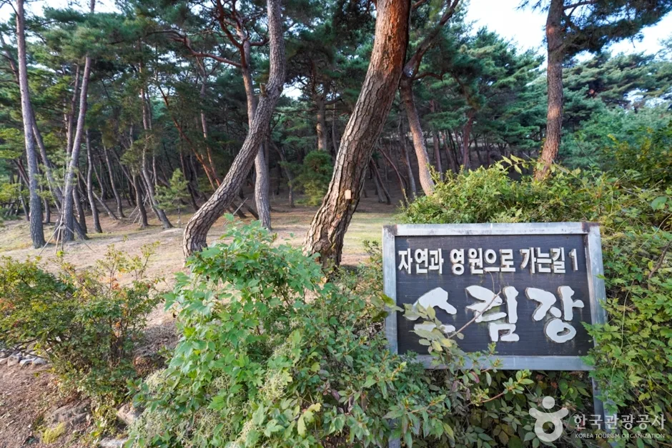 은해사 (9)