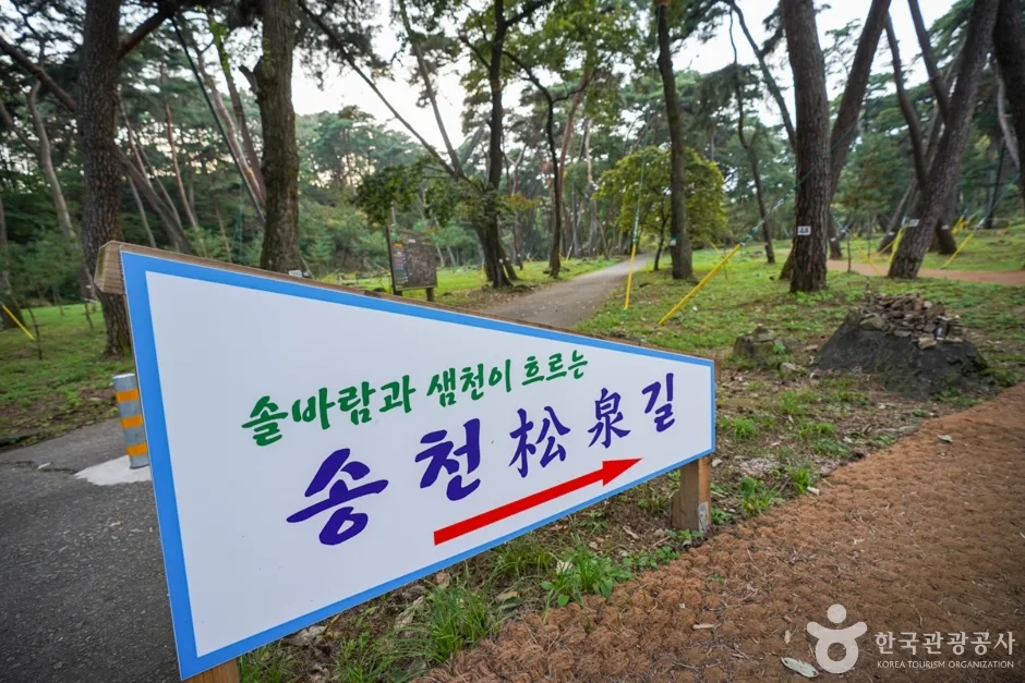 은해사 (14)