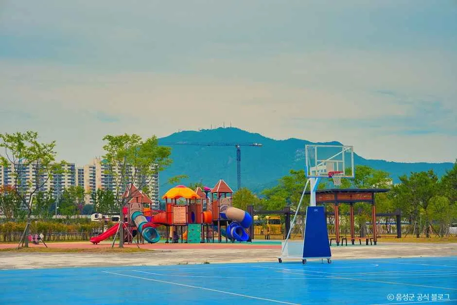 음성_음성생활체육공원 (5).jpg