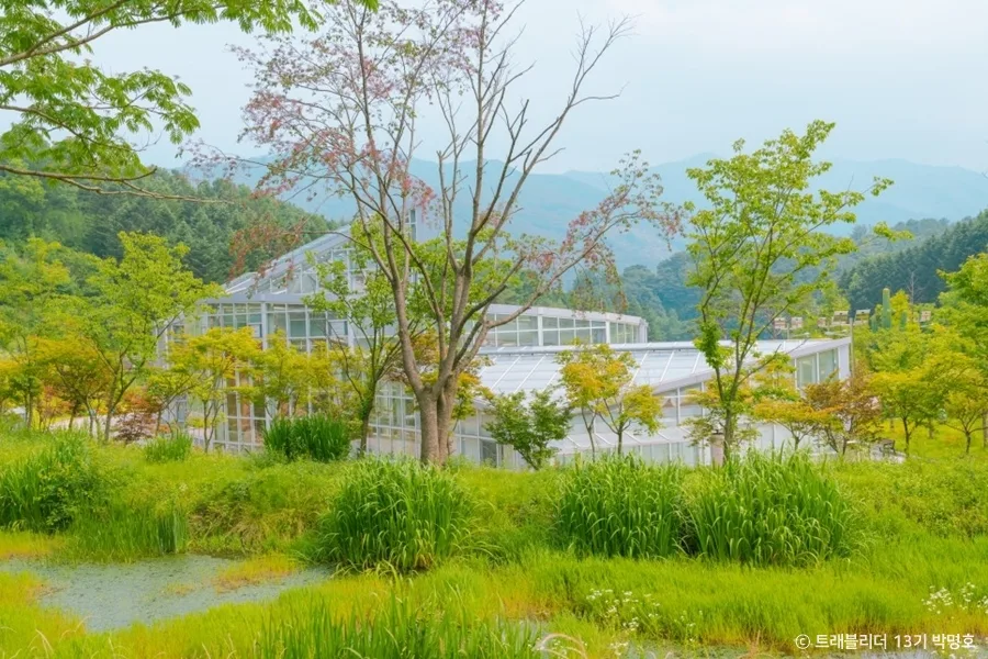 김천_김천친환경생태공원 (2)