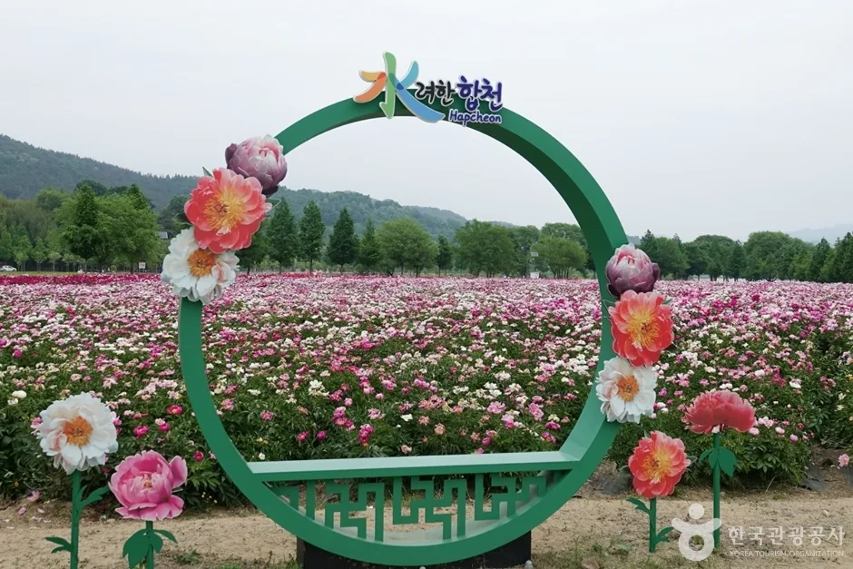 핫들생태공원 (4)