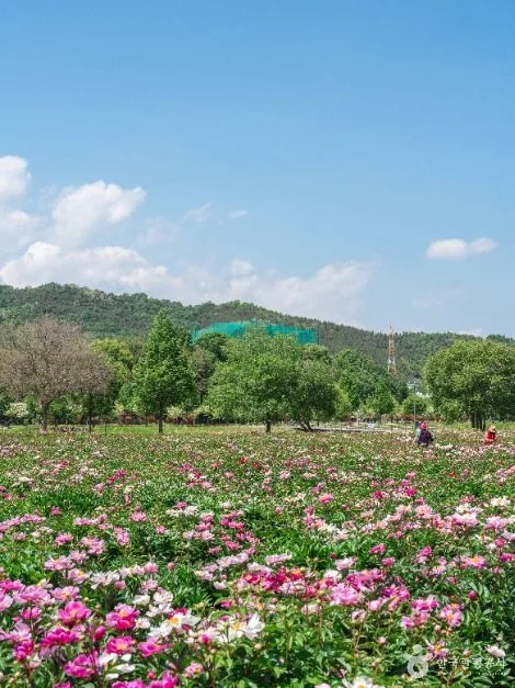 핫들생태공원 (6)