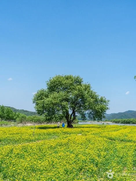 핫들생태공원 (15)