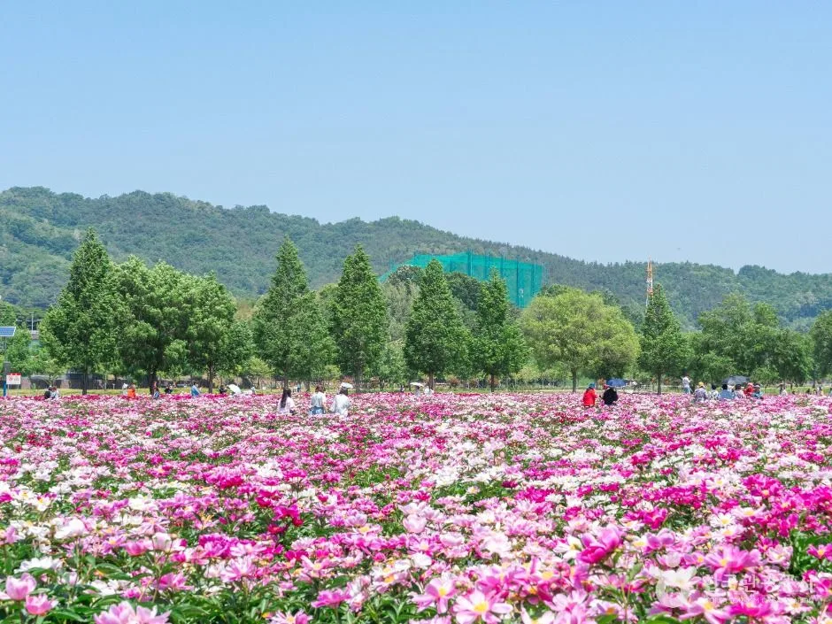 핫들생태공원 (7)
