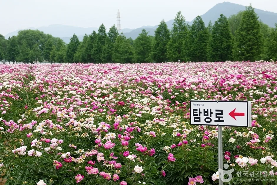 핫들생태공원