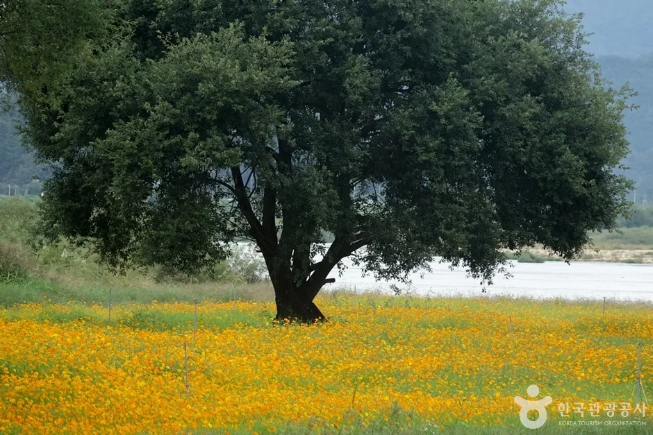 핫들생태공원