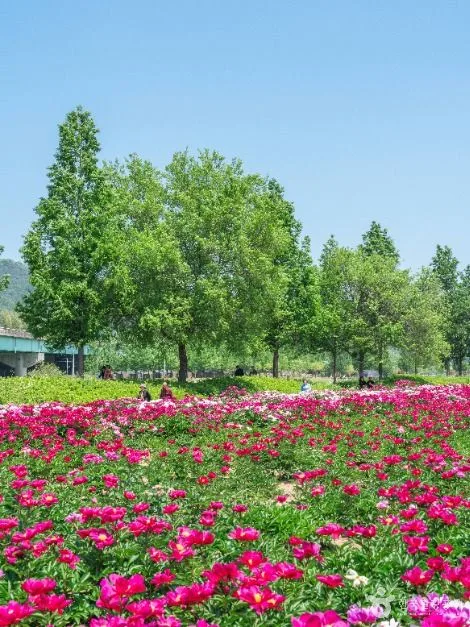 핫들생태공원 (16)