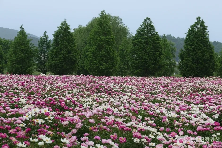 핫들생태공원 (1)