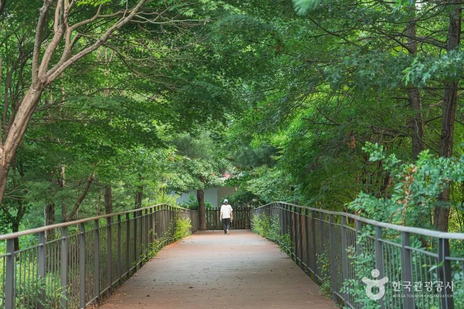 서울_우장산공원 (2)
