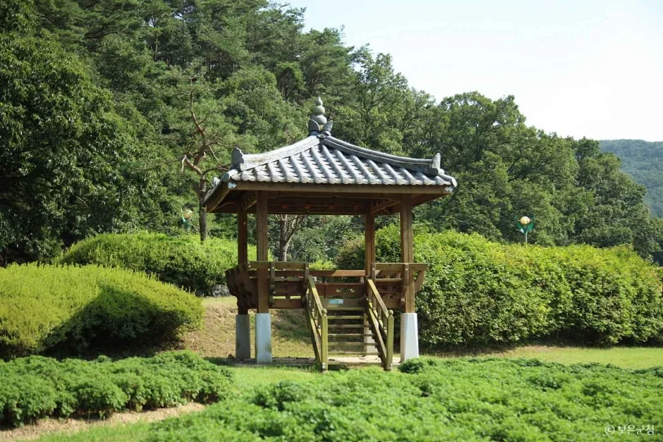 충북_보은_속리산연꽃단지 데크길2.JPG