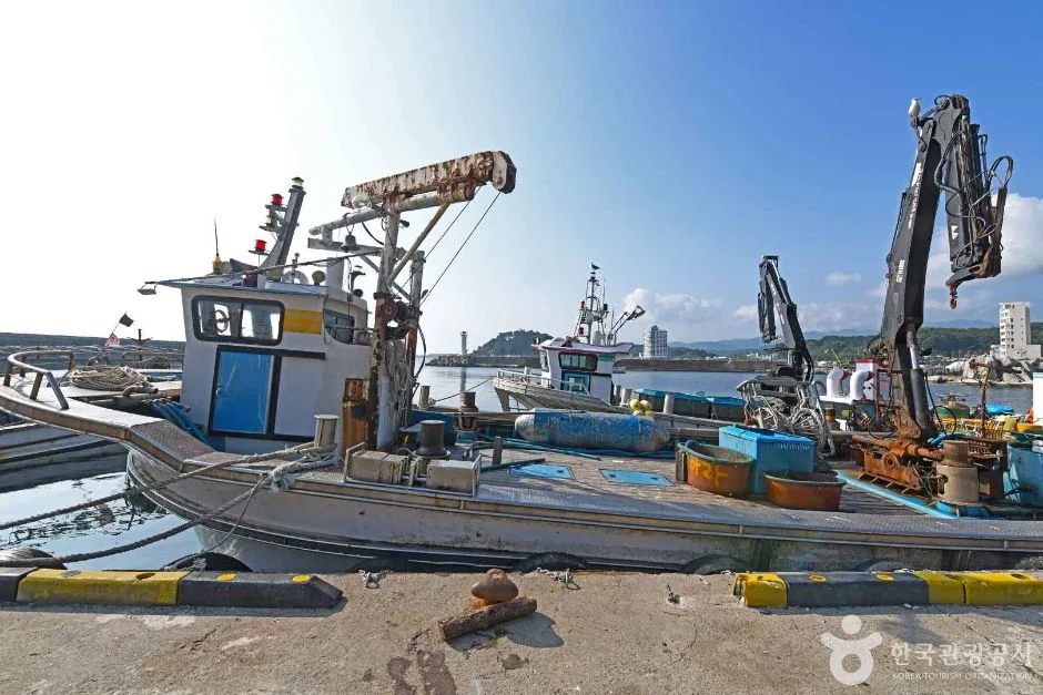 동산항 (4)