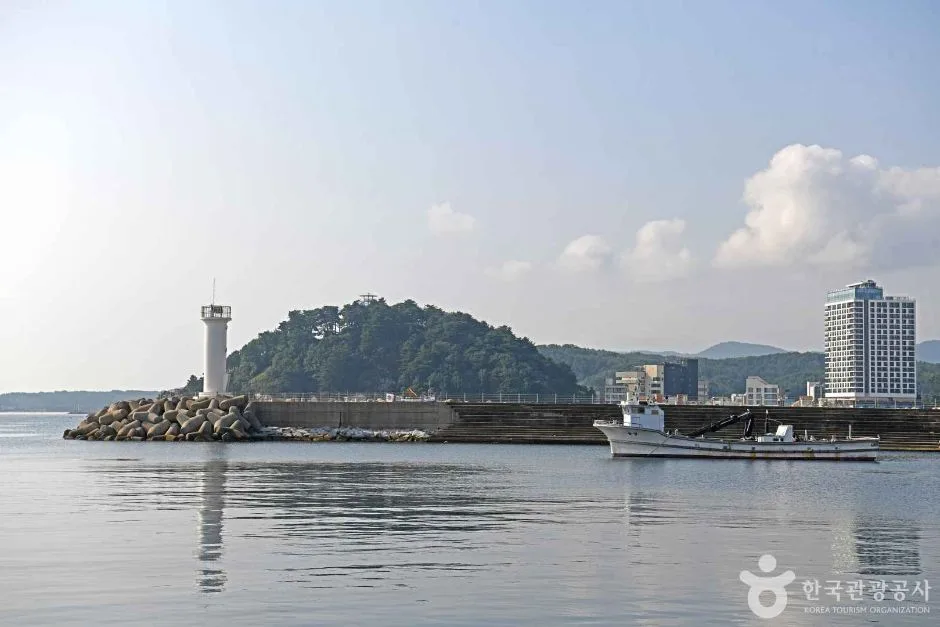 동산항 (5)