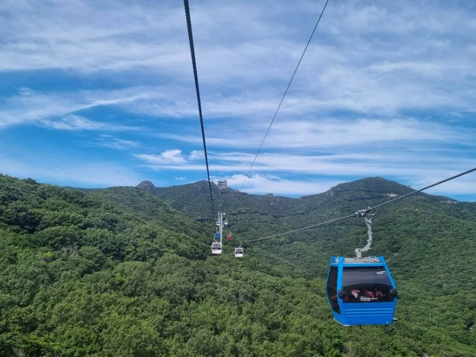 노자산
