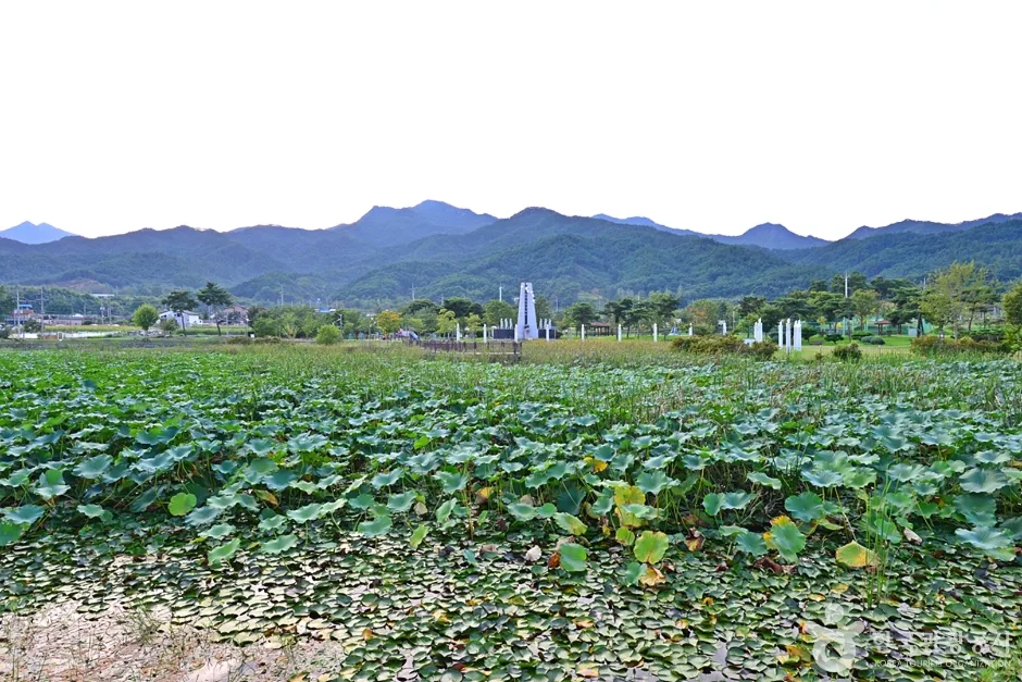 전남_곡성_죽동제 (3)
