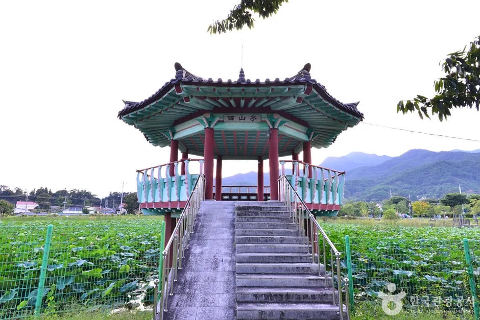 전남_곡성_죽동제 (5)