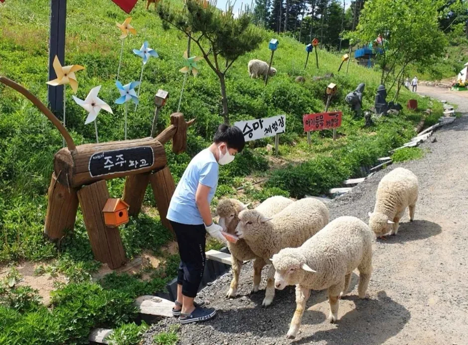 강원_평창_대관령 주주파크 (5)