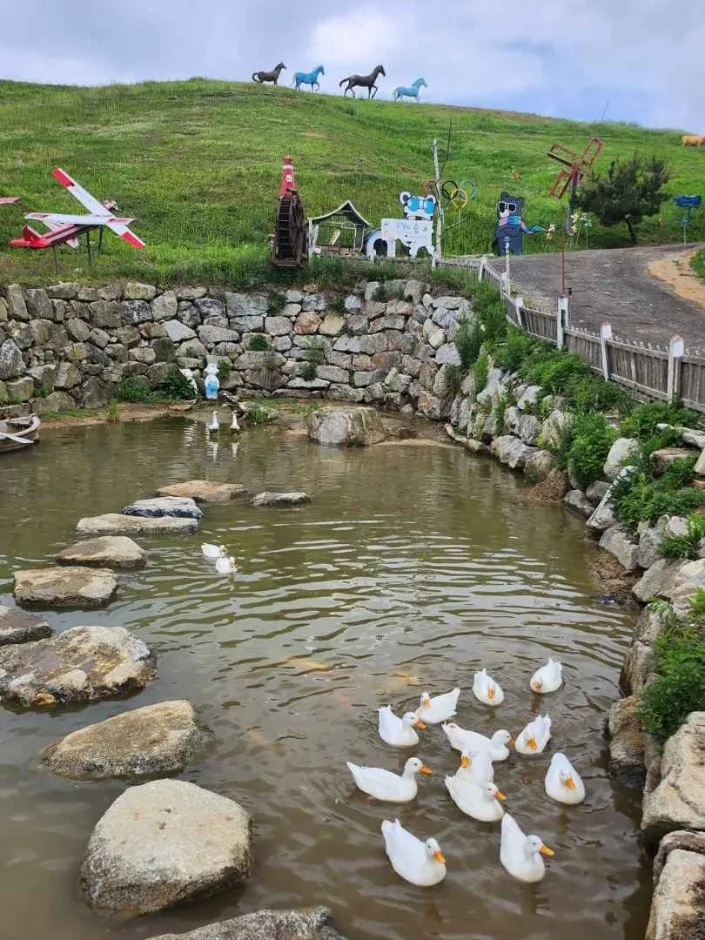 강원_평창_대관령 주주파크 (6)