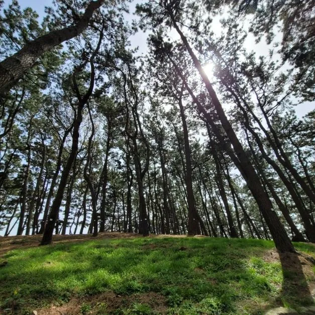 충남_보령_상화원_외부_5.jpg