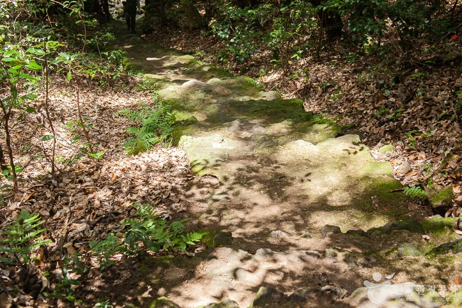 효명사 (11)