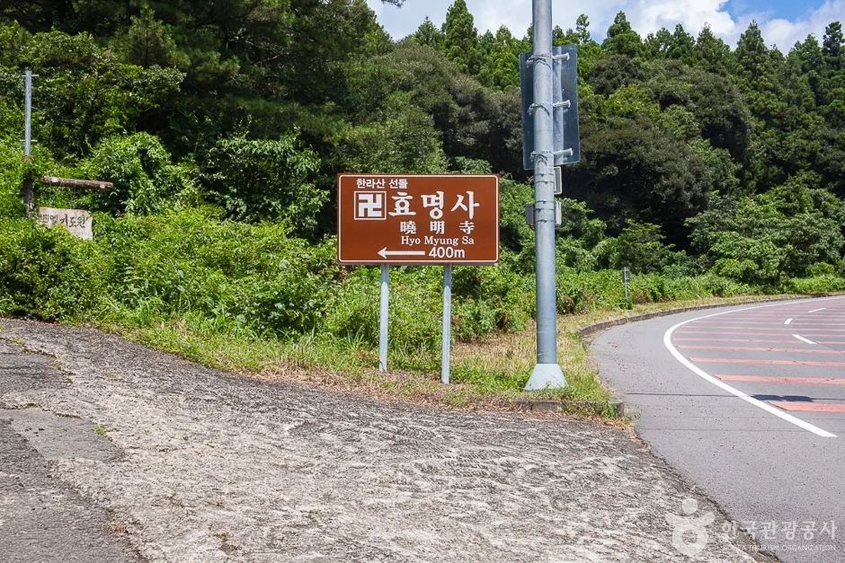 효명사 (3)