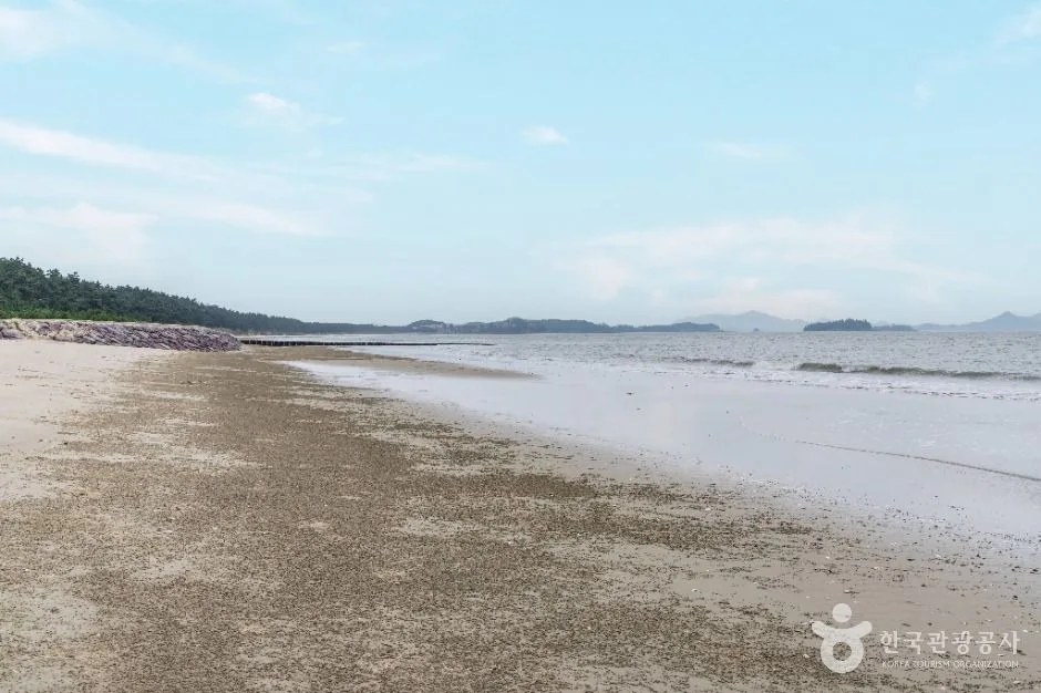 신안_짱뚱어해수욕장 (4)