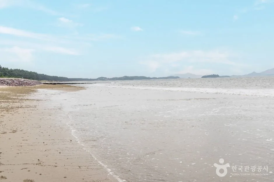 신안_짱뚱어해수욕장 (5)