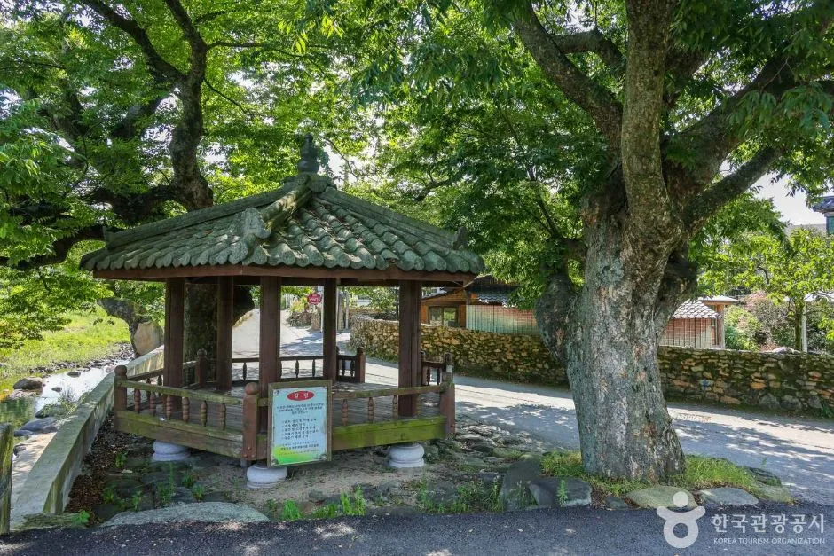 광주 평촌마을 (5)