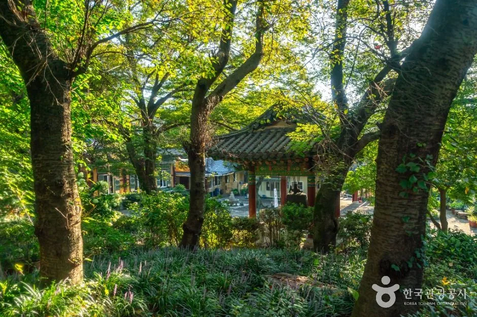 창원_원각사(창원) (4)