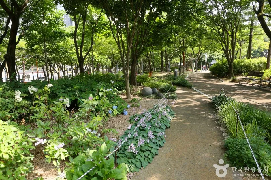 대구 서구문화원 (1)