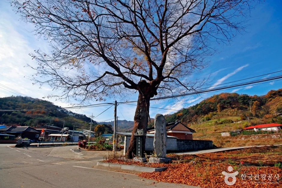 충주 상대촌농촌체험마을 (9)