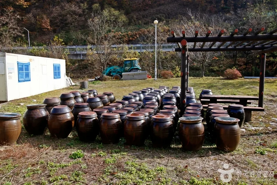 충주 상대촌농촌체험마을 (11)