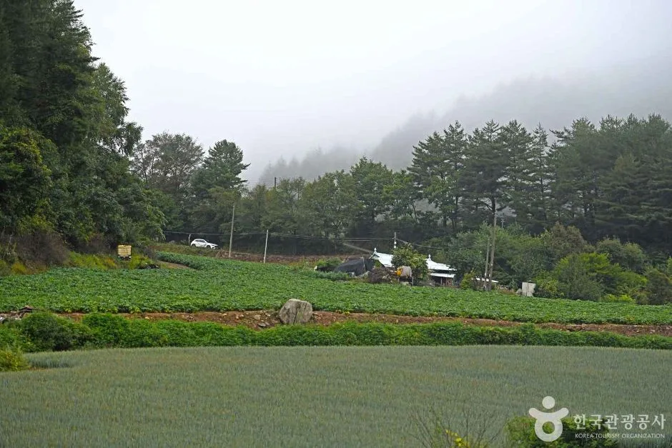 평창_탑골마을 (7)