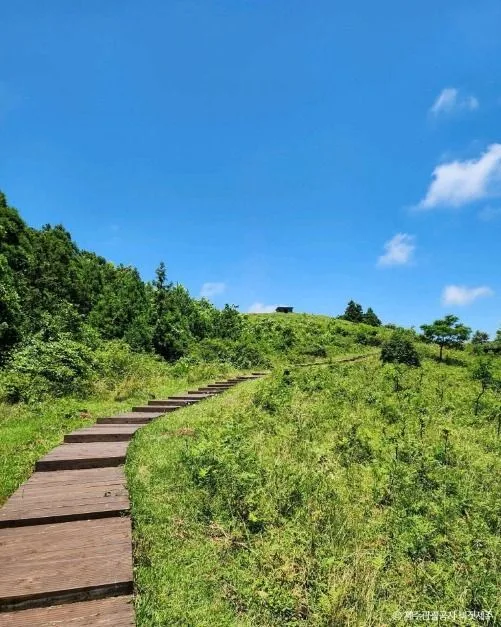 서귀포_영주산 (2)