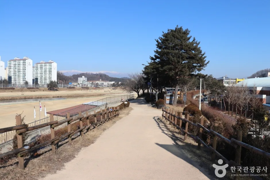 서천둔치(영주) (7)
