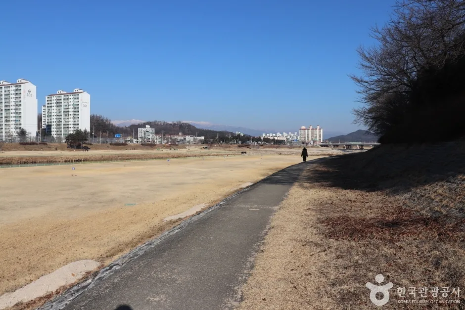 서천둔치(영주) (3)