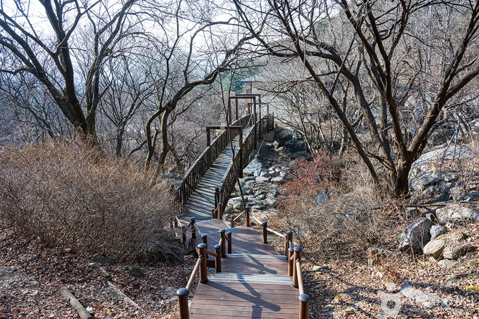 축령산자연휴양림 (4)