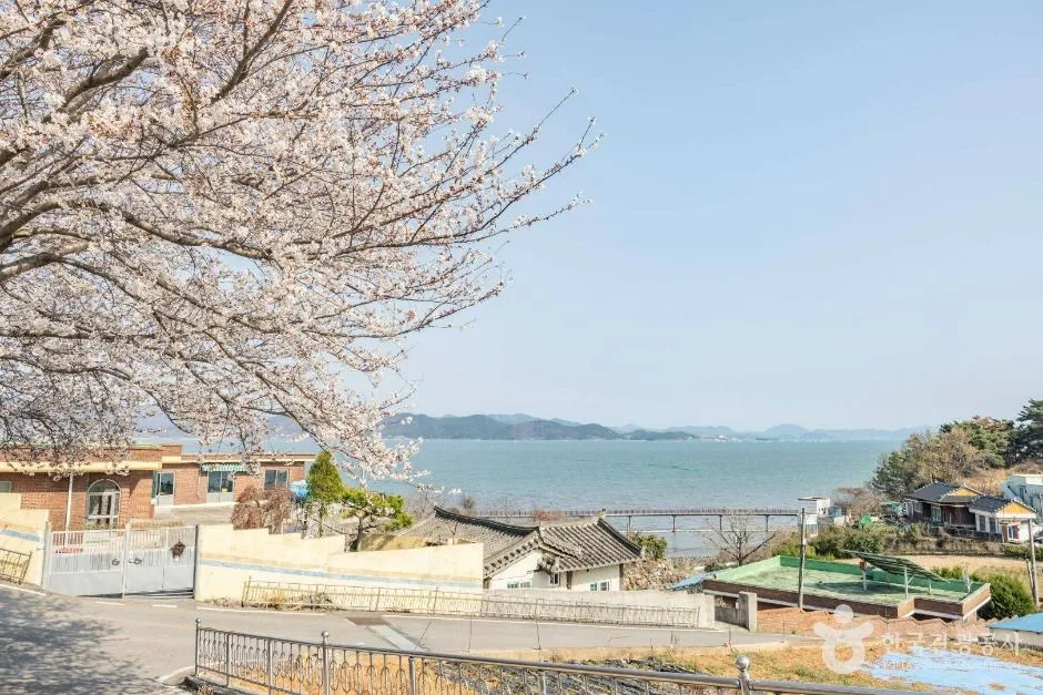 순천_화포해변 (13)