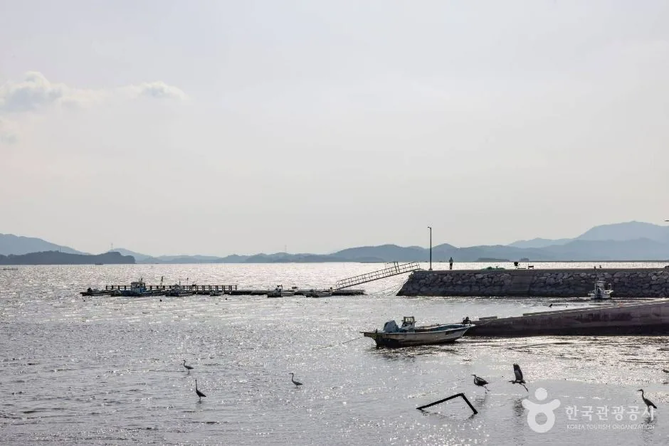 순천_화포해변 (3)