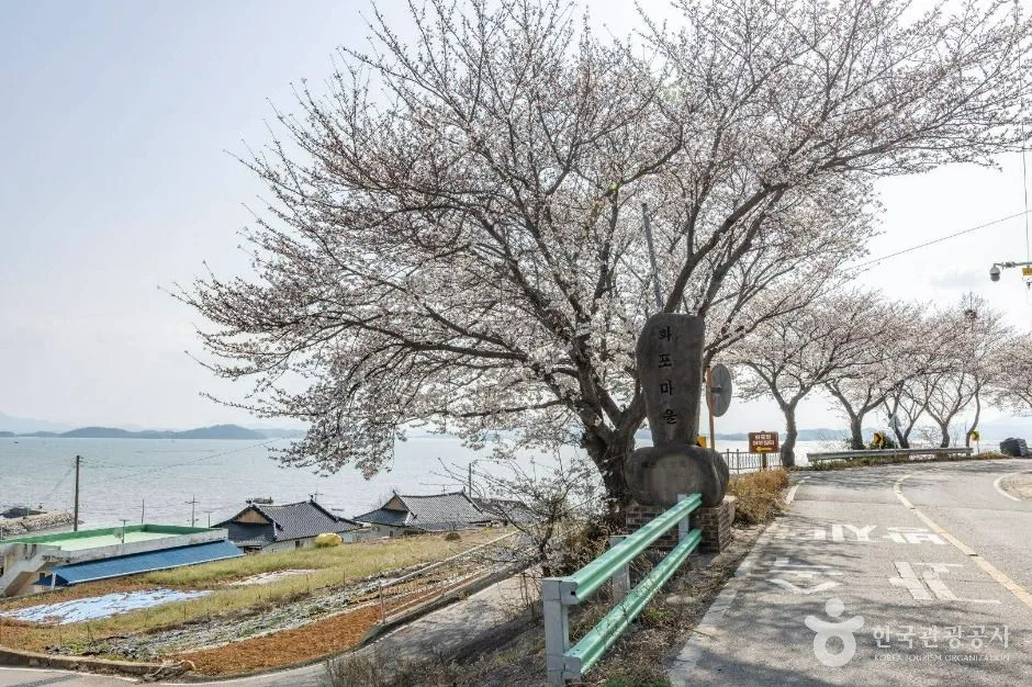순천_화포해변 (12)