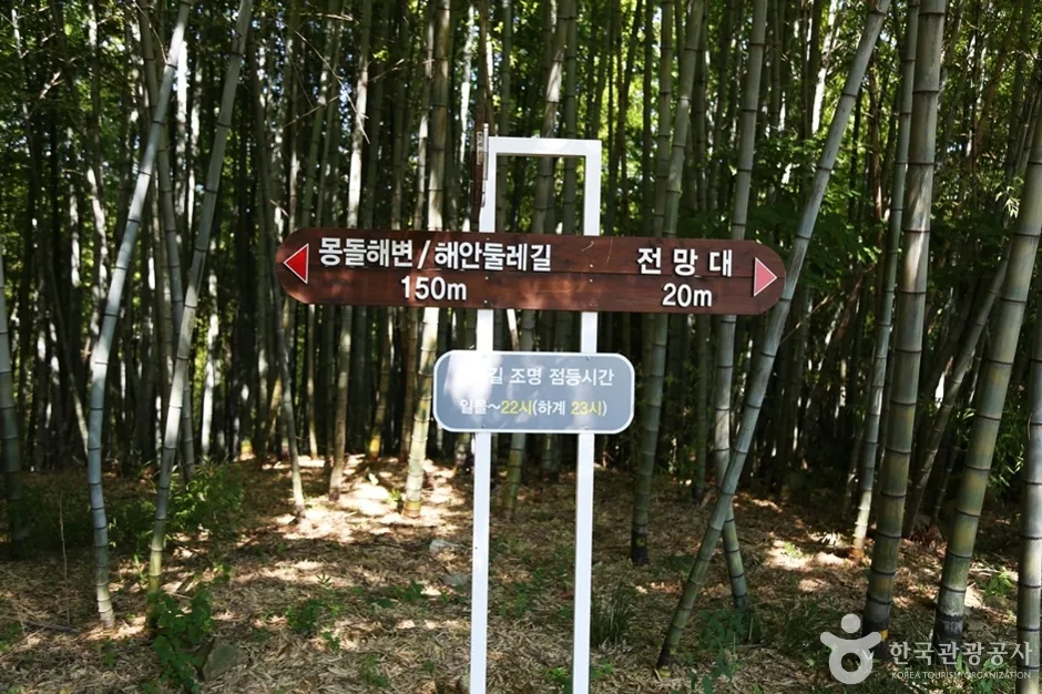 상상산책길 (9)