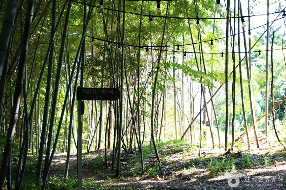 상상산책길 (20)