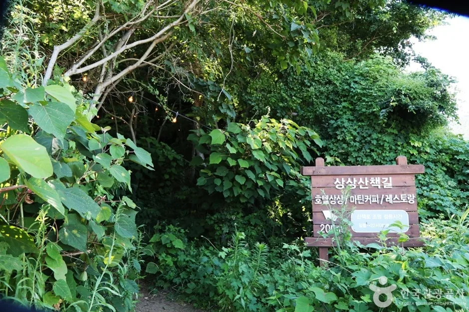 상상산책길 (14)