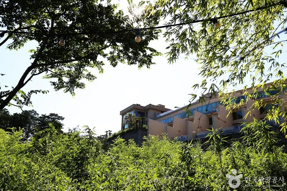 상상산책길 (21)
