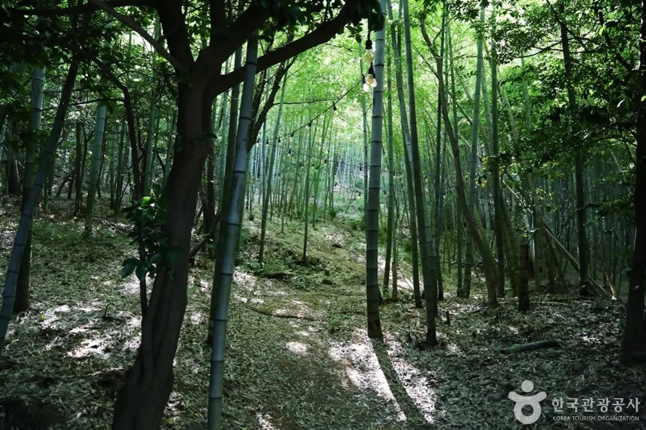 상상산책길 (19)
